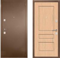 Стальная дверь Старк